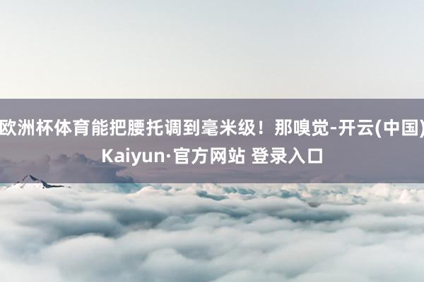 欧洲杯体育能把腰托调到毫米级！那嗅觉-开云(中国)Kaiyun·官方网站 登录入口