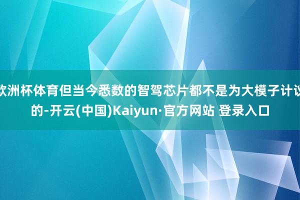 欧洲杯体育但当今悉数的智驾芯片都不是为大模子计议的-开云(中国)Kaiyun·官方网站 登录入口
