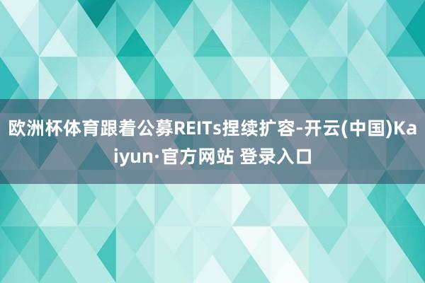 欧洲杯体育跟着公募REITs捏续扩容-开云(中国)Kaiyun·官方网站 登录入口