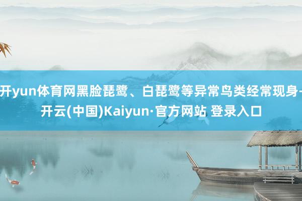 开yun体育网黑脸琵鹭、白琵鹭等异常鸟类经常现身-开云(中国)Kaiyun·官方网站 登录入口