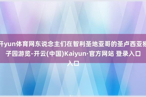 开yun体育网东说念主们在智利圣地亚哥的圣卢西亚猴子园游览-开云(中国)Kaiyun·官方网站 登录入口
