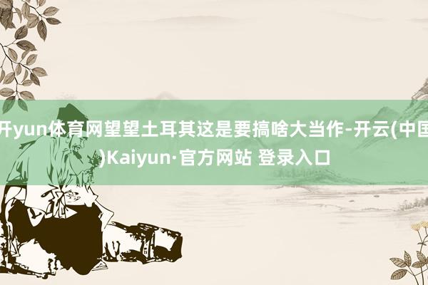 开yun体育网望望土耳其这是要搞啥大当作-开云(中国)Kaiyun·官方网站 登录入口