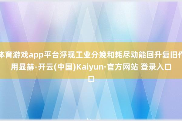 体育游戏app平台浮现工业分娩和耗尽动能回升复旧作用显赫-开云(中国)Kaiyun·官方网站 登录入口