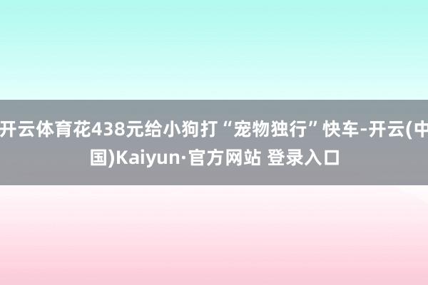 开云体育花438元给小狗打“宠物独行”快车-开云(中国)Kaiyun·官方网站 登录入口