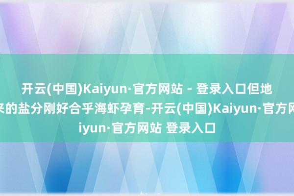开云(中国)Kaiyun·官方网站 - 登录入口但地盘里缓释出来的盐分刚好合乎海虾孕育-开云(中国)Kaiyun·官方网站 登录入口