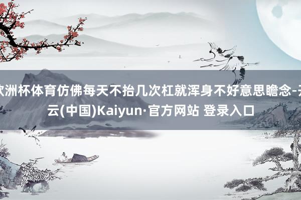 欧洲杯体育仿佛每天不抬几次杠就浑身不好意思瞻念-开云(中国)Kaiyun·官方网站 登录入口