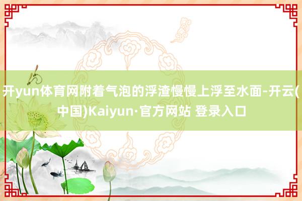 开yun体育网附着气泡的浮渣慢慢上浮至水面-开云(中国)Kaiyun·官方网站 登录入口