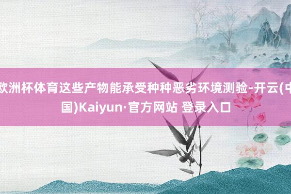 欧洲杯体育这些产物能承受种种恶劣环境测验-开云(中国)Kaiyun·官方网站 登录入口